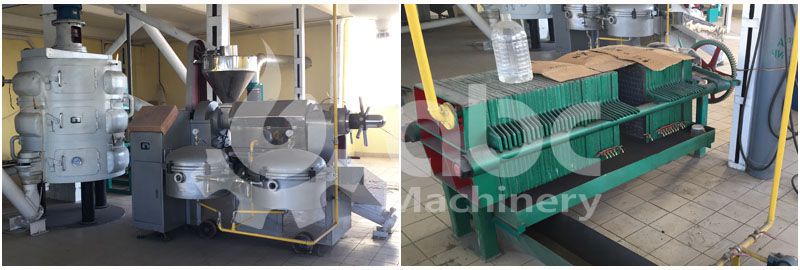 auto sunflower oil press and filter press