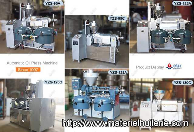 Automatic Oil Press Machine at Factory Price