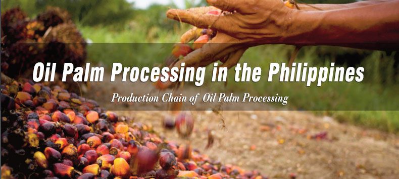 oil palm processing Philippines