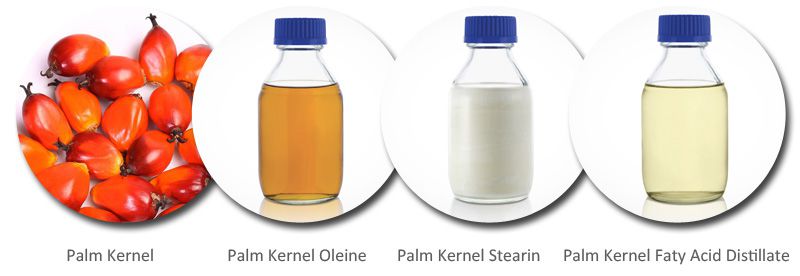 palm kernel oil refinery products 
