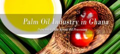 Coût de la mise en place d'une usine de transformation de l'huile de palme au Ghana