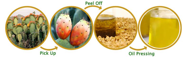 prickly pear seed oil extraction process 