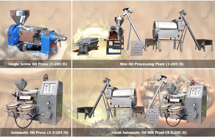 small castor oil extraction machine