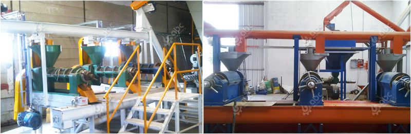 small castor oil extraction plant