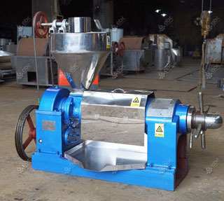 Screw Oil Press Machine