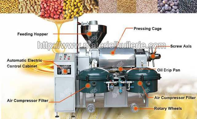 DYTWXG Presse à huile automatique commerciale 1200W, chaud froid,  industrielle de graines noix, extracteur d'huile élevée en acier inoxydable