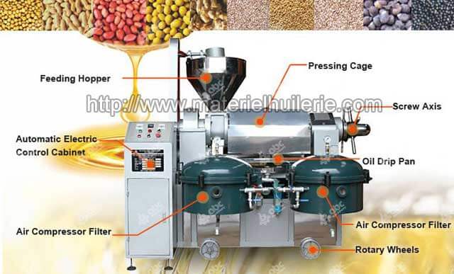 Structure de la presse à huile automatique