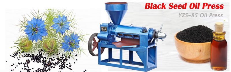 black seed oil press machine 