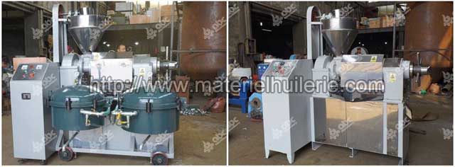 combined oil press machine