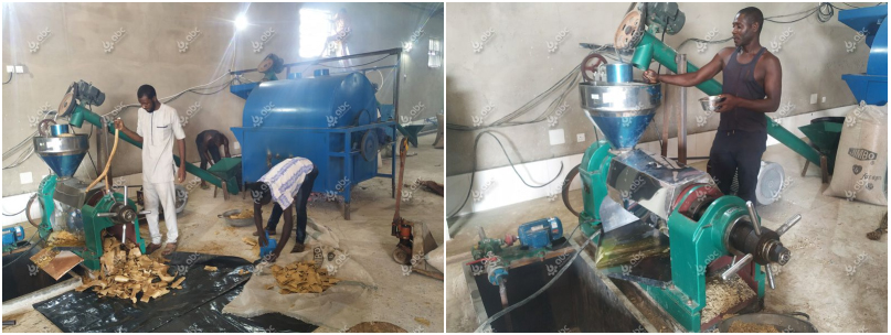 edible oil mill project report 
