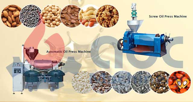 edible oil pressing machine