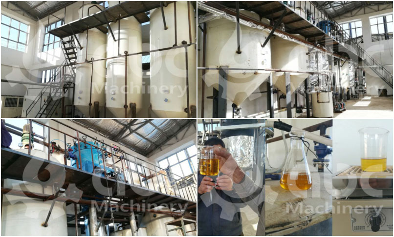 edible oil refinery project report 