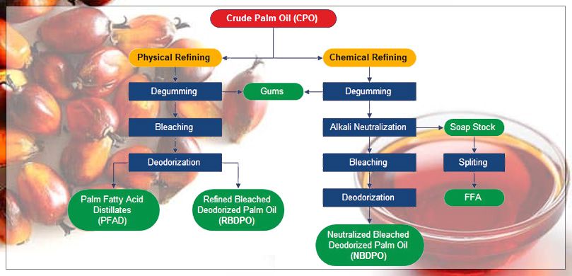 general palm oil produciton process 