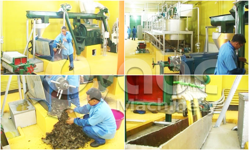 mini soybean oil production line 
