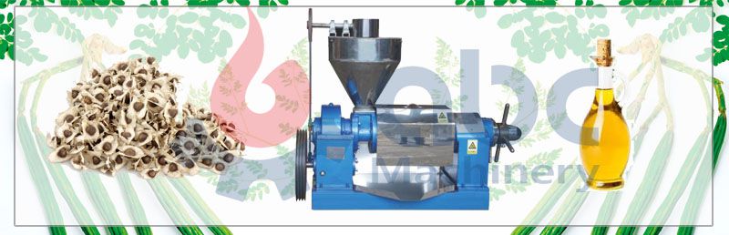 moringa oil press machine 