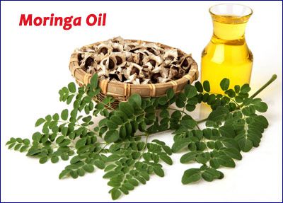 moringa oil