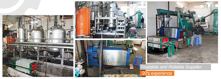 fournisseur d'usine d'extraction d'huile neem