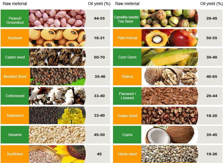 oil yield of coconut oil extraction expeller 