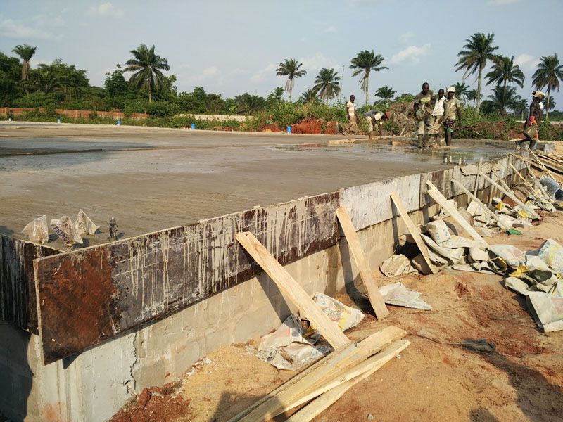 palm kernel oil production field visit 