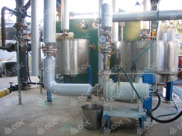 palm oil plant part