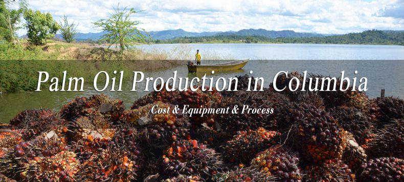 palm oil production in Columbia