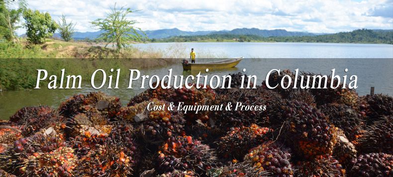 palm oil production in Columbia