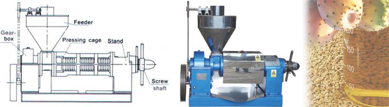 prickly pear seed oil press machine 