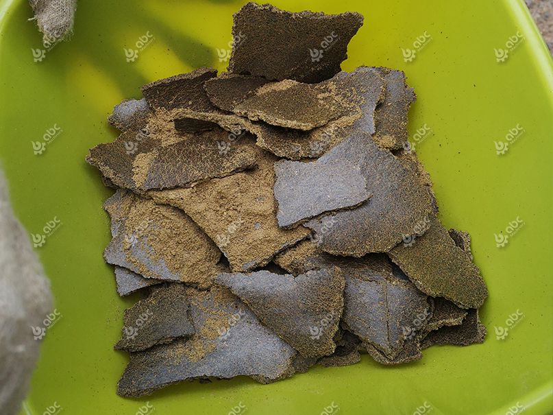 rapeseed oil meal