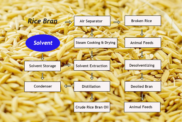 rice bran solvent extraction flowchart