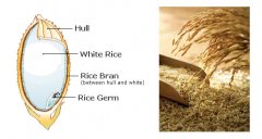 Démarrez dès aujourd'hui votre projet d'usine d'huile de son de riz