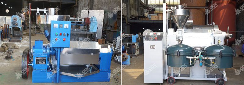 screw black seed oil press for sales