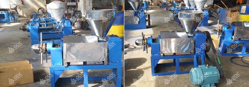 single hemp seed oil press machine 