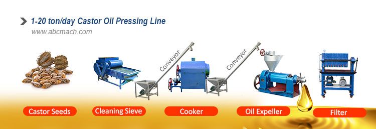 petite usine d'extraction d'huile de ricin