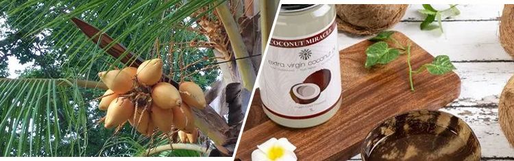 virgin coconut oil production line for sale